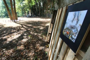 Chill Art, Metz, culture, exposition, La Rose Noire, Nicolas Larcher, association, énergie urbaine, installation, Romain Ravenel, illustration, Appar-Être, James, James & Cie, james et cie, james et compagnie, Les écarts, Les écarts de James, dessin, photographie, James & Cie - Les écarts, James et cie les écarts, james et compagnie les écarts, collaboration artistique, évènement, 